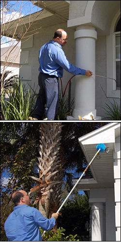 pest prevention services