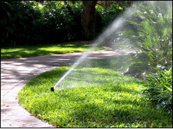 Watering Services